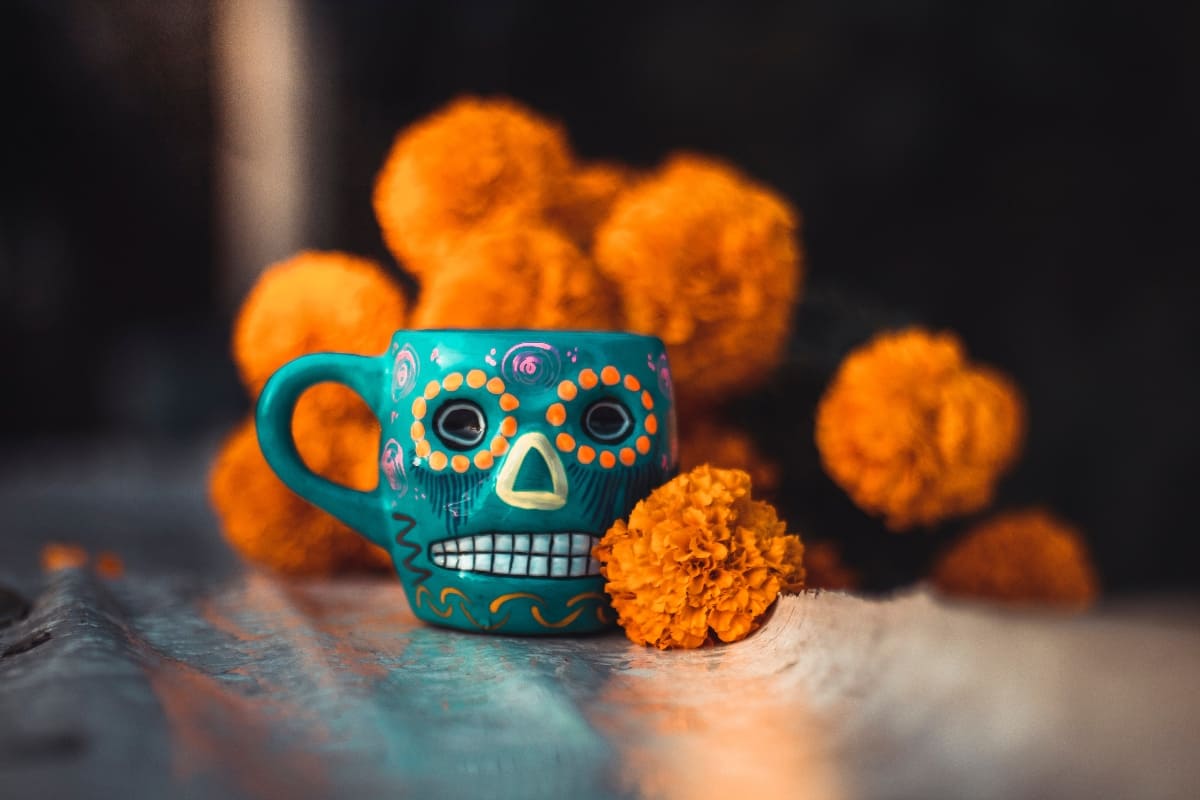 flor-de-cempasuchil-propiedades-medicinales