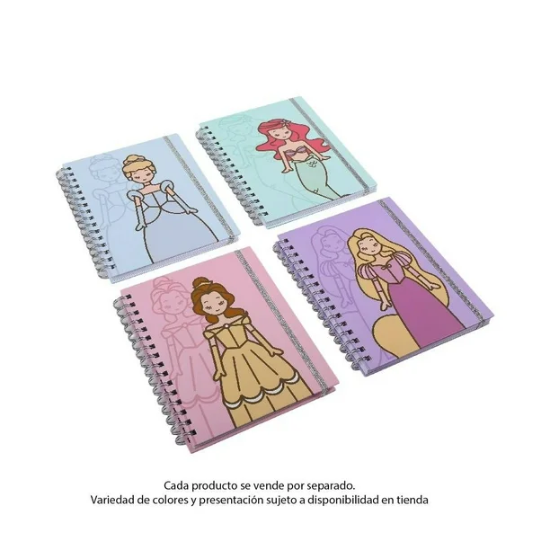 journal-princesas