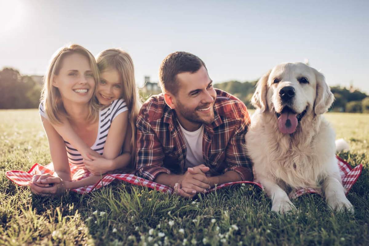 beneficios-de-tener-un-perro-como-mascota-1