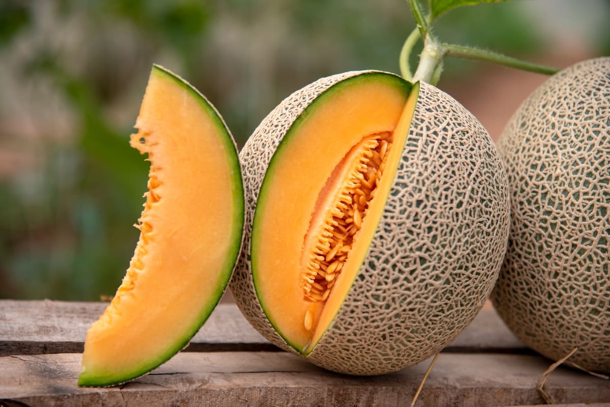 Beneficios del melón