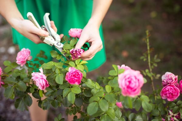 actividades para hacer en casa en vacaciones