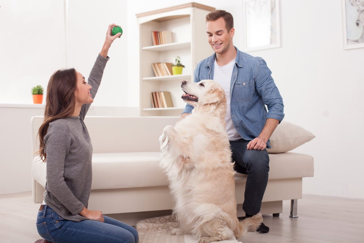 Tener un perro en casa