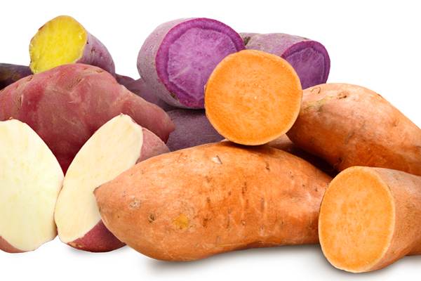 Tipos de camote americano