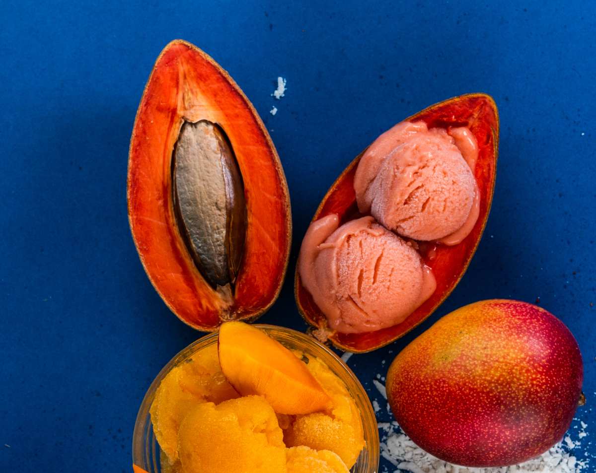 Receta de helado de mamey