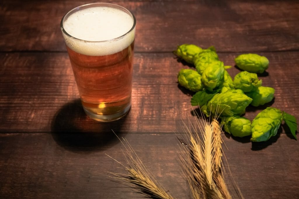 Interior 1 - Día Internacional de la Cerveza