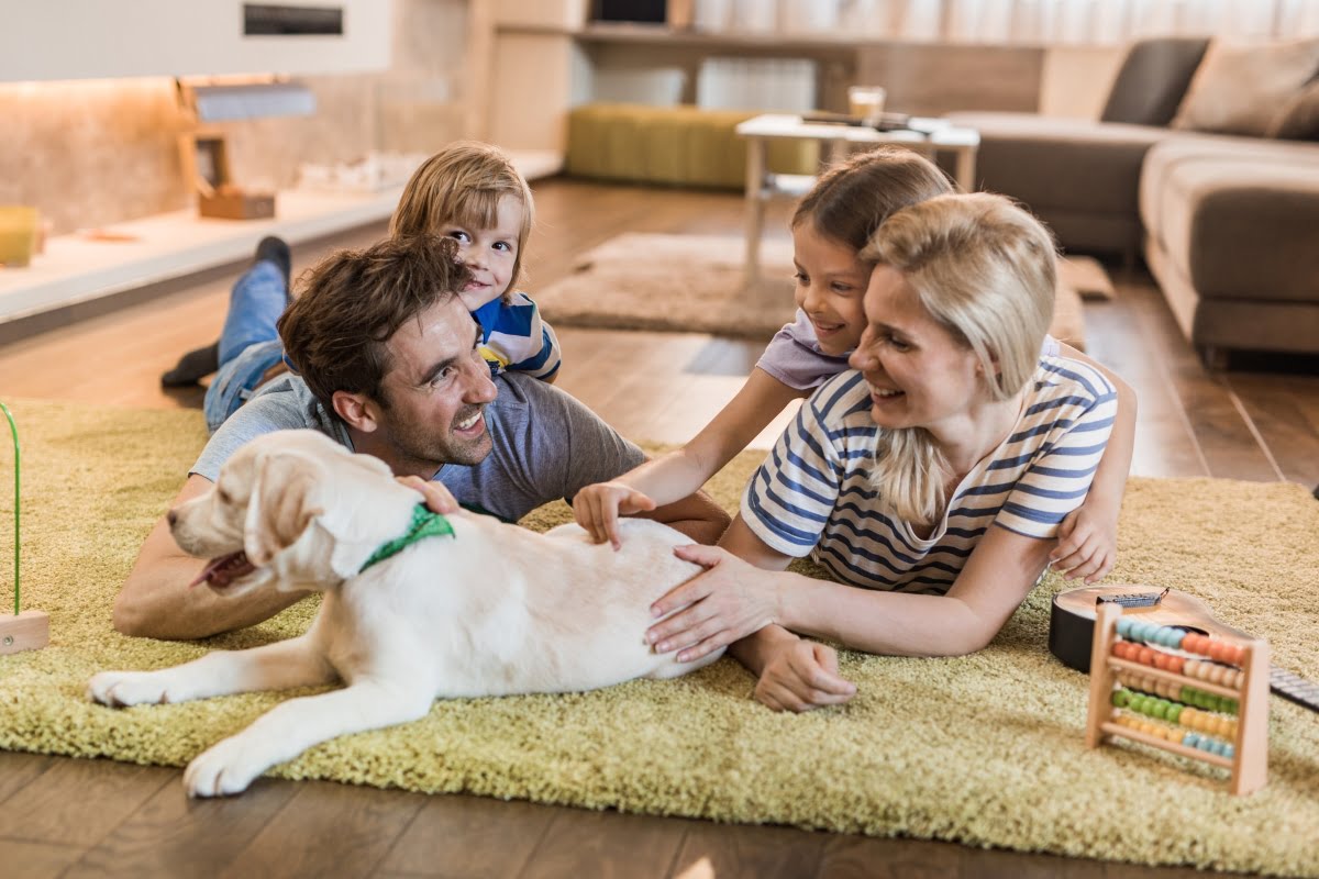 Cómo dar la bienvenida a tu cachorro