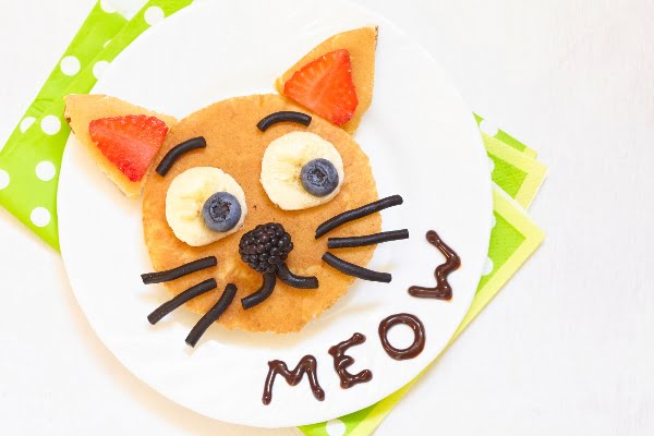 Gatocake