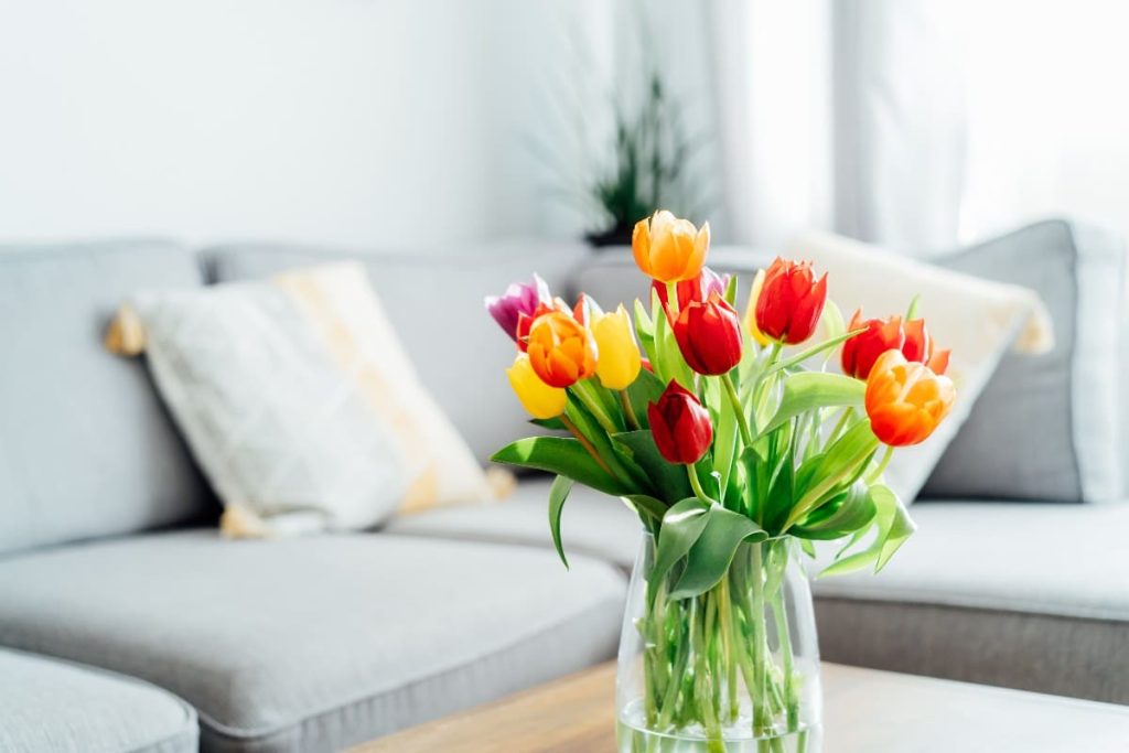 Tulipanes