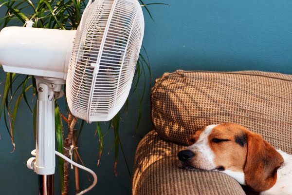 Refresca tu casa con un ventilador Cómo refrescar una casa muy calurosa