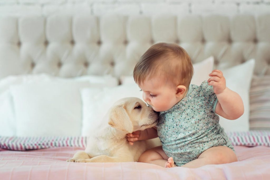 beneficios de tener una mascota para mi bebe