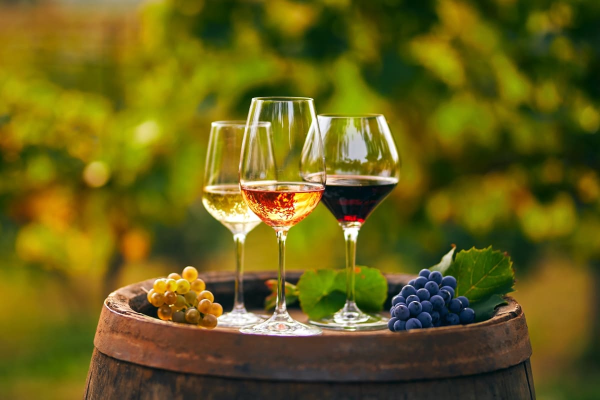 Tipos de vinos según la uva