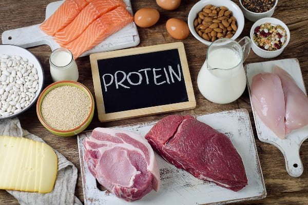 proteina-animal-y-vegetal