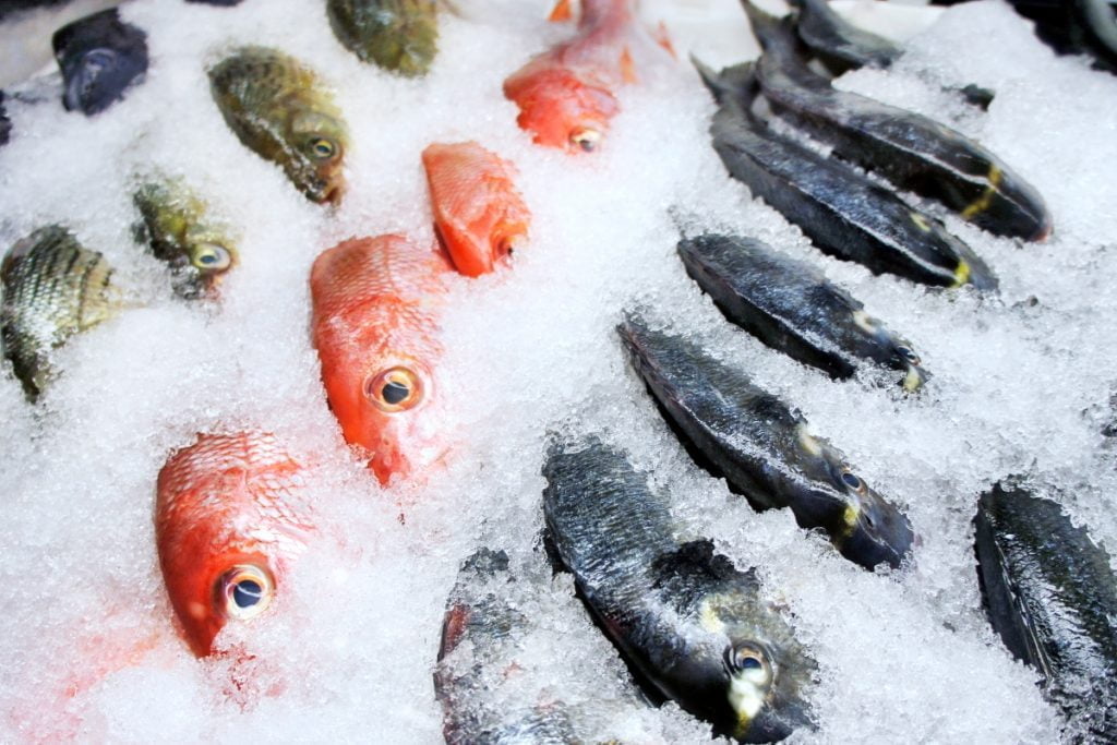 Beneficios de los pescados y mariscos congelados