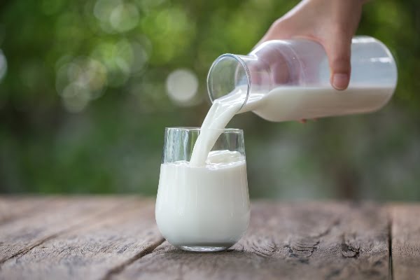 Leche orgánica