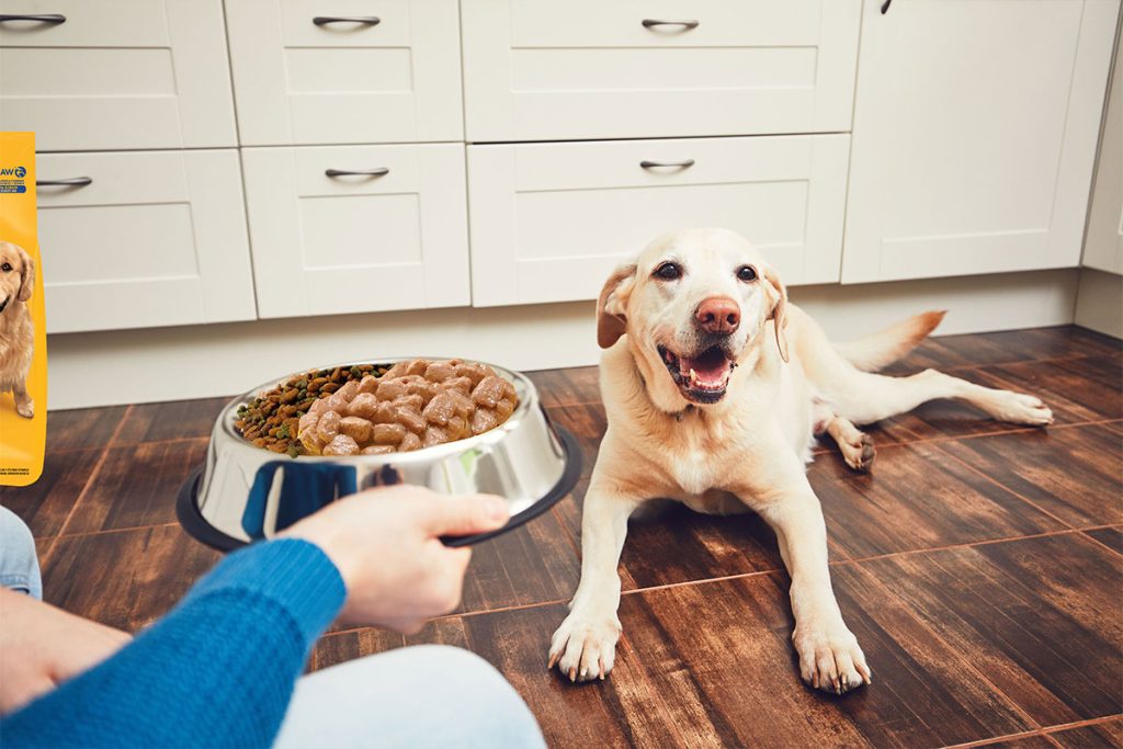 Portada - Haz que la hora de comer sea una gran experiencia