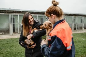 voluntario en un albergue