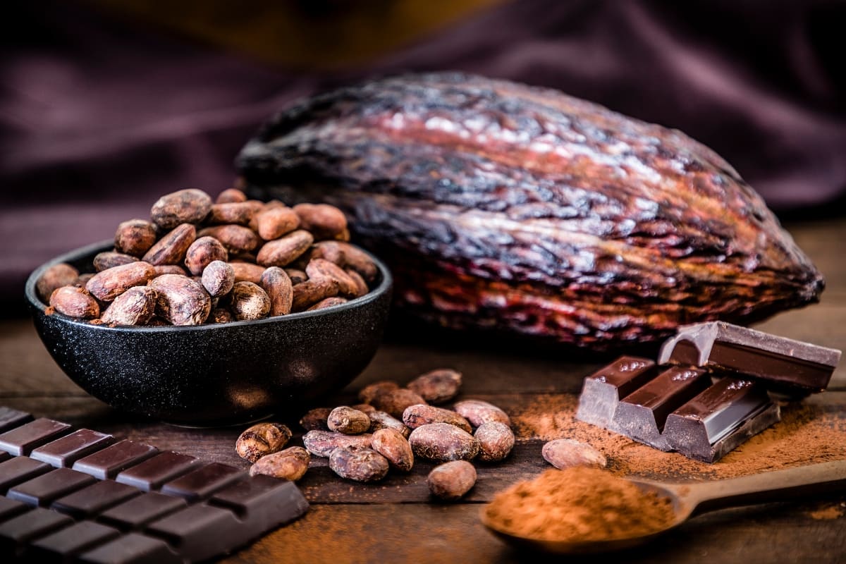 beneficios del cacao en la salud