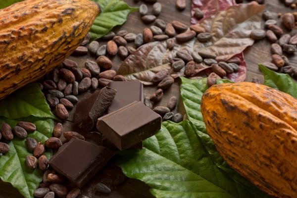 Beneficios del cacao en la salud