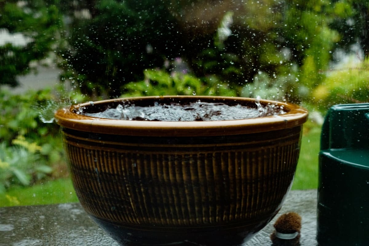 Reutiliza el agua de lluvia