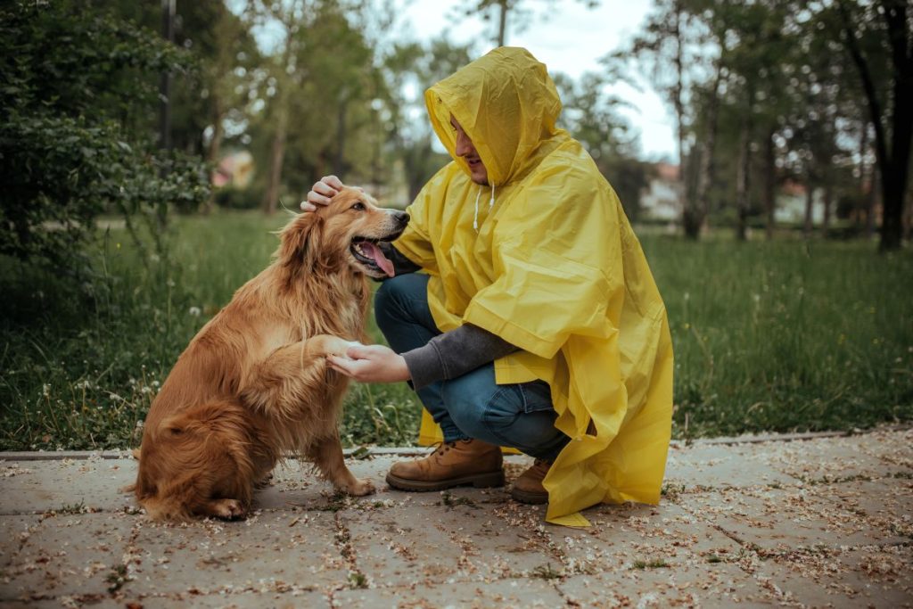 protege a tu mascota de los cambios de clima