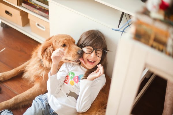 soporte emocional de tus mascotas durante la tormenta