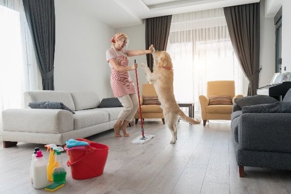 Limpiar cas con mascota