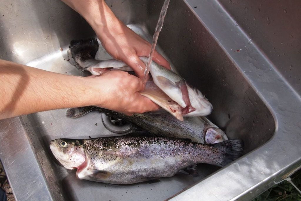 como se enjuaga el pescado