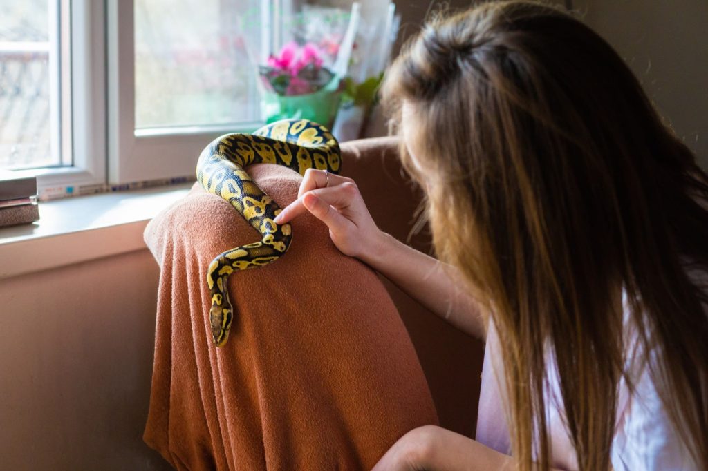 Descubre más sobre las mascotas exóticas.