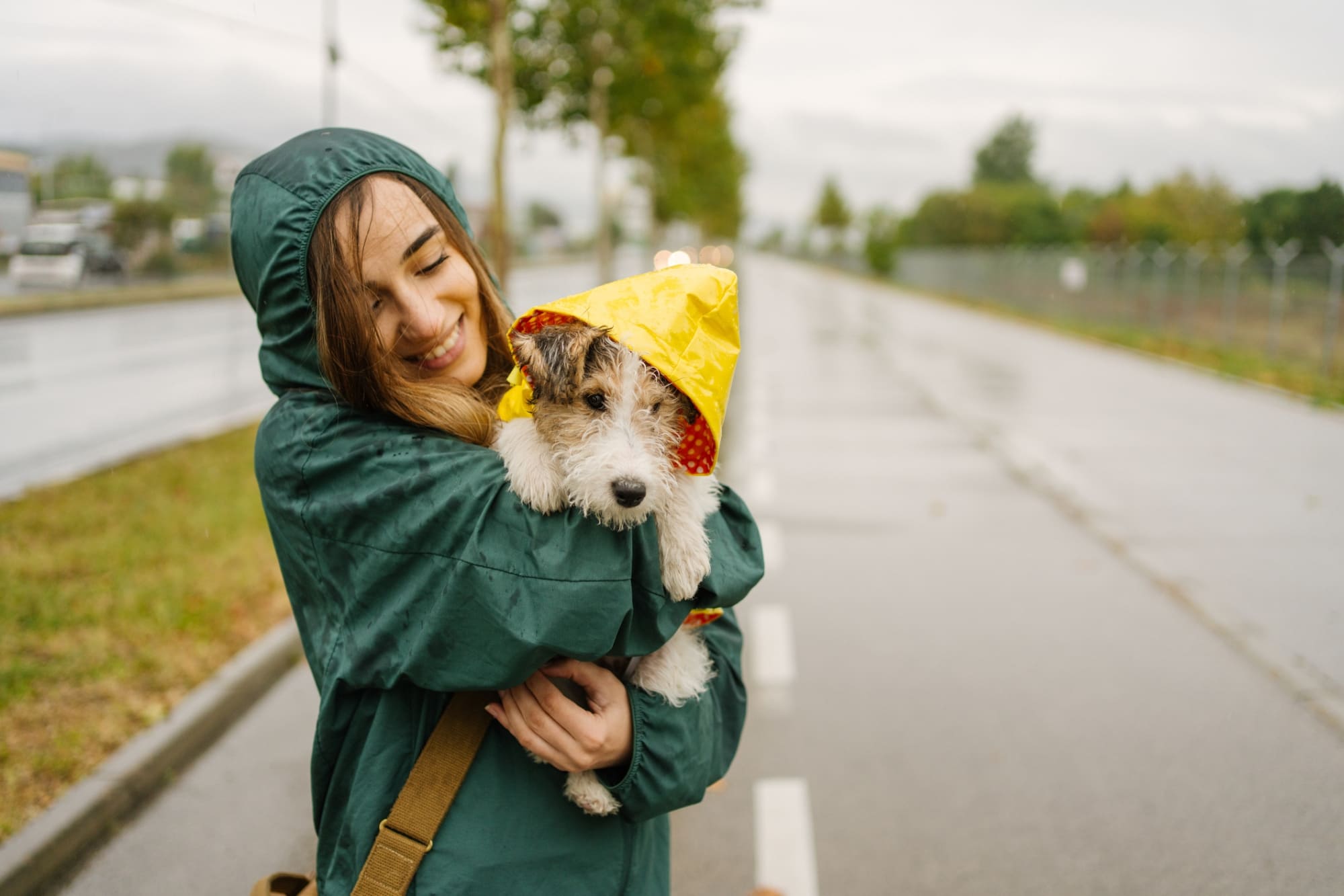 Pasea a tu mascota en temporada de lluvia