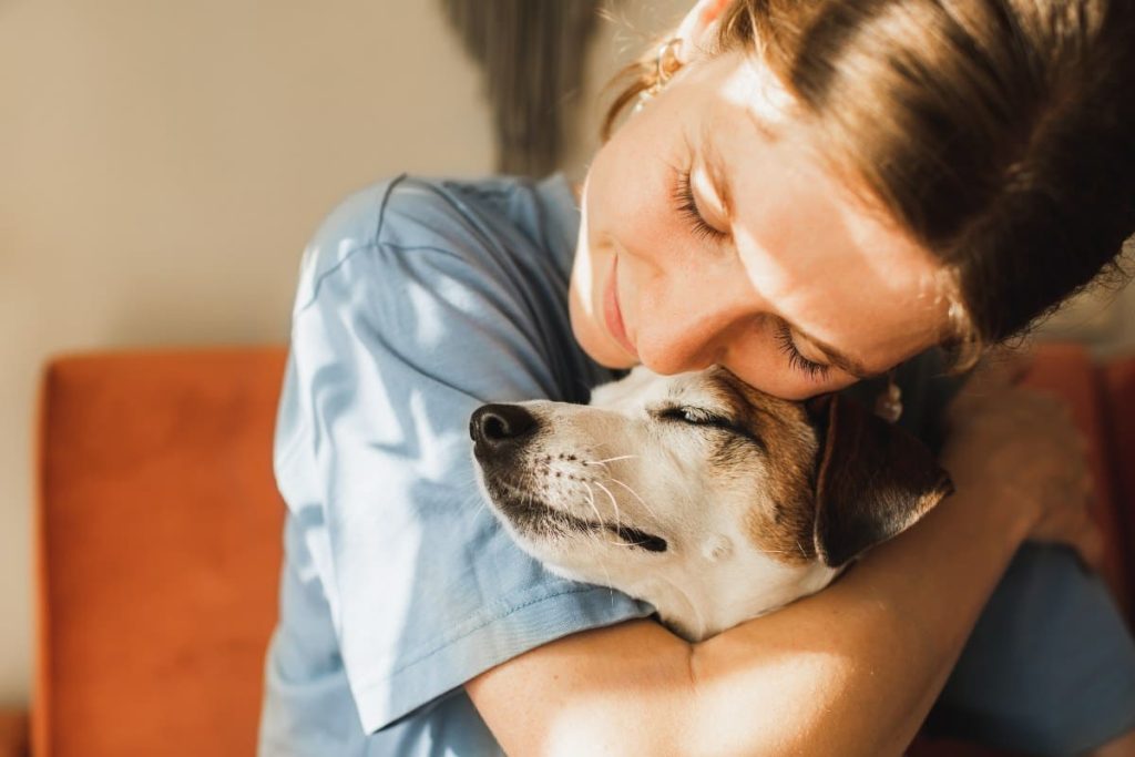 Tipos de probióticos para mascotas