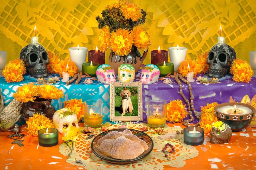 Ofrenda para mascotas