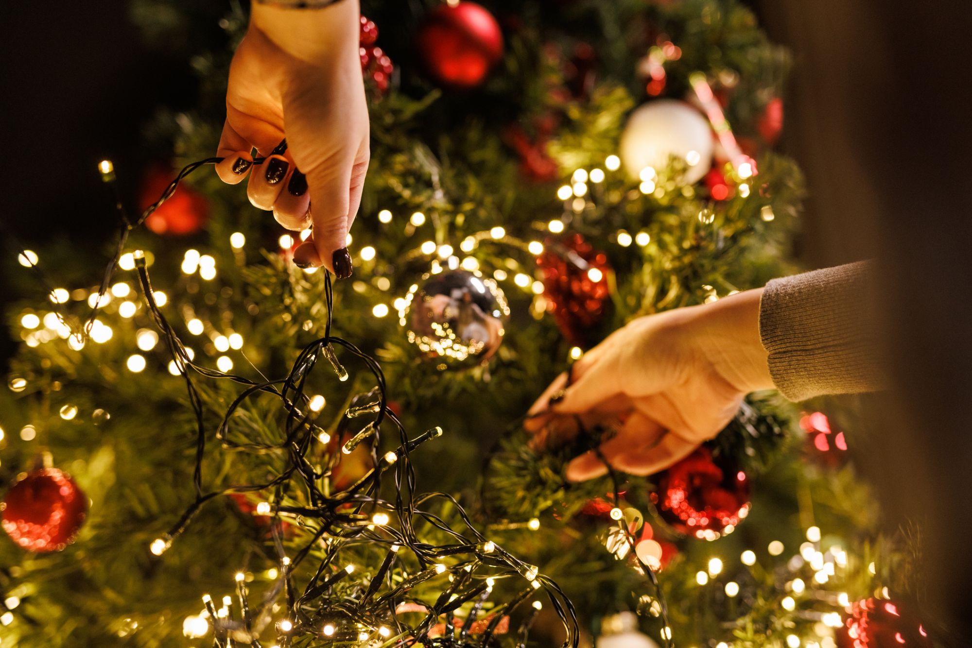 no te enredes como se ponen las luces del árbol de navidad