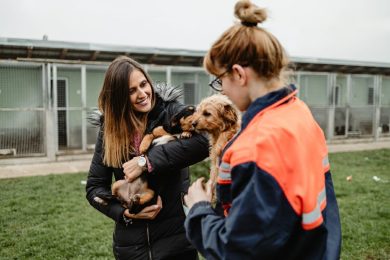 voluntario en un albergue